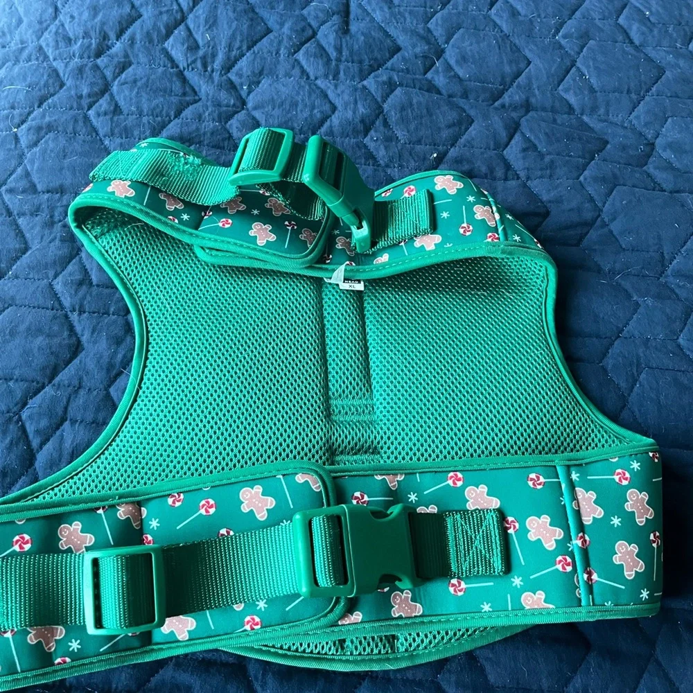 Green XL for dogs
